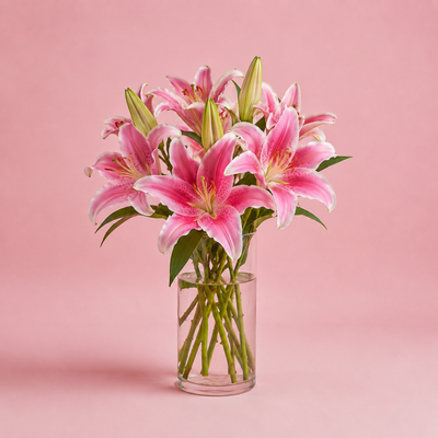 Lilys